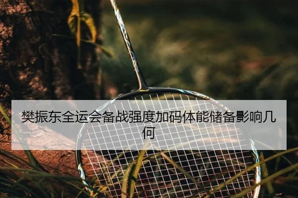 樊振东全运会备战强度加码体能储备影响几何